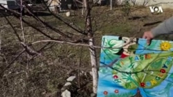 Qəbələli rəssam-oymaçının arzusu sənətini yaşatmaqdır