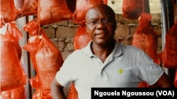 A Brazzaville, un ingénieur bio-technicien, Tsengue Tsengue, a mis au point une technique de production des champignons. (VOA/Ngouela Ngoussou)
