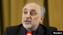 Menteri Luar Negeri Iran, Ali Akbar Salehi (Foto: dok).