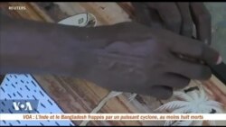 Transformer la jacinthe d'eau en œuvre d'art