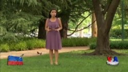 Plastik chiqindi muammosi - Plastic problem