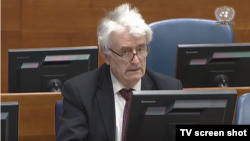 Radovan Karadžić iznosi žalbu na presudu Tribunala kojom je osuđen na 40 godina zatvora