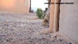 Experimental Virtual and Mixed Reality Technologies Can be Applied to Military of the Future