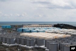 일본 후쿠시마 제1 원자력발전소 오염수 저장 시설 (자료사진)