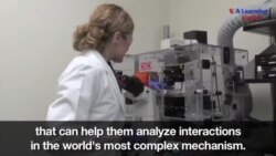 Researchers Seek Ways to Help Damaged Brains Heal