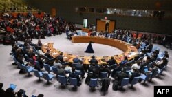 САД беа воздражни, што овозможи резолуцијата да помине