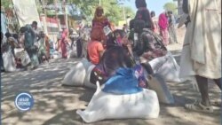 Jiraattonni Fantaallee Sababaa Kirkira Lafaatiin Qe’ee Isaaniirraa Buqqa’an Hongeen Itti Dabalamee Akka Daran Miidhamaa Jiran Himatan