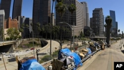 Los-Anjeles - Amerikada uysizlar eng ko'p yashaydigan shahar