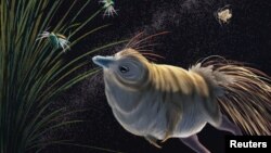 The small bird-like dinosaur Shuvuuia deserti is seen in a 2021 artist's reconstruction provided by the University of the Witwatersrand in Johannesburg, South Africa. Viktor Radermaker/Handout via REUTERS