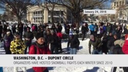 Washingtonians Hold Traditional Dupont Circle Snowball Fight