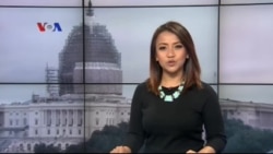 Arti Penting Plankton Bagi Kesehatan Planet Bumi