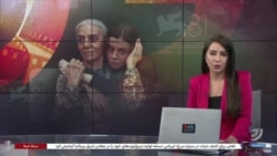 روایت محمد عبدی، منتقد سینمایی، از حضور سینمای ایران در هشتاد و یکمین جشنواره فیلم ونیز