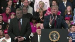 Trump and Democrats Face Major Test in Tuesday Election