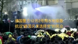 “德国另类选择党”选举新领导人