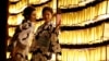Japonnaises en yukatas devant des lanternes en papier lors du festival Mitama à Tokyo, Japon, 13 juillet 2017.