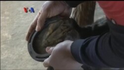 Berkarir di Pacuan Kuda untuk Mantan Narapidana