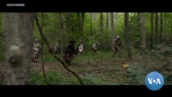 How Harriet Advances the Slavery Narrative on the Large Screen