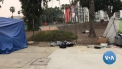 Tiny Homes Provide Stopgap Solution for Homeless 