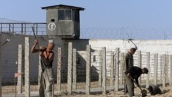 O'zbekiston: qiynoqlar haqida yangi daraklar - Malik Mansur 