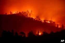 The Camp Fire burns along a ridgetop near Big Bend, Calif., on Saturday, Nov. 10, 2018. (AP Photo/Noah Berger)