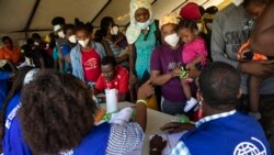 Haitianët e deportuar priten nga organizata e OKB-së për emigracionin IOM