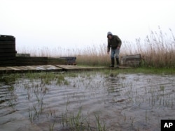 FILE - Jim O'Neill walks across a makeshift boardwalk he built in his back yard in Manahawkin, N.J., because the property is almost always under water, even on sunny days, April 26, 2017.