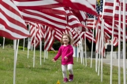 Hazel Roberts walks in a field of flags ahead of Memorial Day, Saturday, May 23, 2020, in Cohasset, Mass. (AP Photo/Michael Dwyer)
