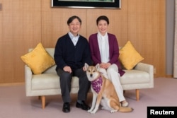 Putri Mahkota Masako dan Putra Mahkota Naruhito berfoto dengan anjing kesayangan mereka, Yuri, di Istana Togu di Tokyo, Jepang, 4 Desember 2018. (Foto: Reuters)