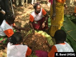Women at Cayat offered a brief presentation of how cocoa is processed in Ivory Coast, April 17, 2019.