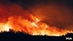 ხანძრის მასშტაბი 21 აგვისტოს, დავით თაბაგარის ფოტო