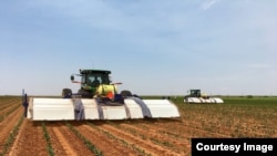 Blue River Technology says its See & Spray system uses machine learning technology to accurately identify and target specific weeds with small amounts of herbicide. (Blue River Technology)