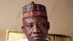 Ministan Lamurran 'yan Sanda Muhammadu Maigari Dingyadi