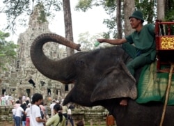 រូបឯកសារ៖ បុរសម្នាក់កំពុងជិះដំរីក្បែរតំបន់ប្រាសាទបាយ័ន រង់ចាំភ្ញៀវទេសចរ នៅ​ខេត្តសៀមរាប កាលពីថ្ងៃទី១៤ ខែកញ្ញា ឆ្នាំ២០០៤។