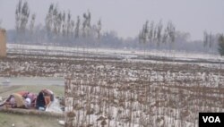 Musim dingin yang mulai melanda Afghanistan, mengancam jutaan warga mengalami kelaparan akibat minimnya persediaan pangan. (Foto: VOA)