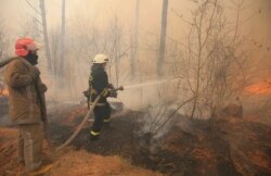UKRAINE -- Firefighters battle with a forest fire burns near the village of Ragovka, close to the exclusion zone around the Chernobyl nuclear power plant, Ukraine, 10 April 2020