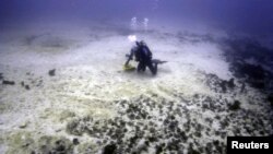 A diver inspects damage caused by a Chinese bulk coal carrier that ran aground on the Great Barrier Reef, east of Great Keppel Island, April 13, 2010.