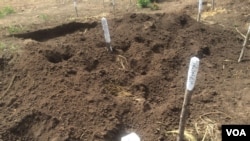 Halo Trust is expected to demine a 400 kilometer stretch along the Zimbabwe-Mozambique border.