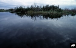The sky reflects on the north-east boundary of the Evergaldes National Park, near Miami, on Monday, July 27, 1998.