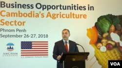 រូបឯកសារ៖ លោក William Heidt អតីតឯកអគ្គរដ្ឋទូត​សហរដ្ឋ​អាមេរិក​ប្រចាំ​កម្ពុជា​និយាយ​ទៅកាន់​អ្នកសារព័ត៌មាន​បន្ទាប់​ពី​កម្មវិធី ពាណិជ្ជកម្មមួយ ដែលផ្តោតលើវិស័យកសិកម្ម​ក្រោម​ប្រធាន​បទ “ឱកាសធុរកិច្ច​នៅក្នុងវិស័យ​កសិកម្ម​នៅកម្ពុជា” ក្នុង​រាជធានី​ ភ្នំពេញ កាលពីថ្ងៃទី ២៦ ខែកញ្ញា ឆ្នាំ២០១៨។ (ទុំ ម្លិះ/VOA)