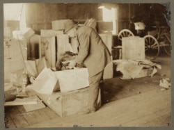 Horace Vose, who was known as the "Poultry King," sent turkeys to the White House every Thanksgiving and Christmas from 1873 until his death in 1913. (Theodore Roosevelt Collection, Harvard College Library via White House Historical Association)