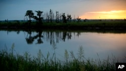 The sun rises on behind a "ghost forest" near the Savannah River in Port Wentworth, Georgia, July 16, 2017. Rising sea levels are killing trees along vast swaths of the North American coast by inundating them with saltwater.