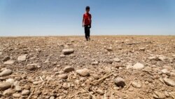 FILE - In this file photo a boy walks through a dried up agricultural field in the Saadiya area, north of Diyala in eastern Iraq on June 24, 2021