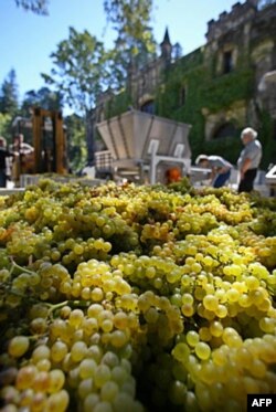 Iqtisodiy krizis AQShda spirtli ichimliklar savdosiga ta'sir qilmagan