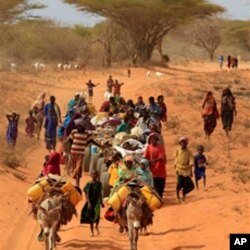 Somalis fleeing hunger in their drought-stricken nation walk along the main road leading from the Somalian border to the refugee camps around Dadaab, Kenya