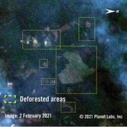 រូបថតពីលំហអាកាសដោយ Planet Labs, Inc. ថតកាលពីថ្ងៃទី២ ខែកុម្ភៈ ឆ្នាំ២០២១ បង្ហាញឲ្យឃើញទីតាំងដែលរងការកាប់ឈើនៅក្នុងតំបន់ព្រៃឡង់នៃប្រទេសកម្ពុជា។ (រូបថតដោយ Planet Labs, Inc.)