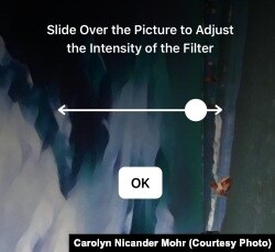 Prisma Adjust Filter