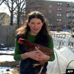 国会山下养鸡人康迪夫