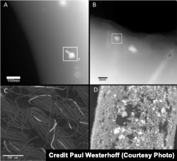 Electron microscope images show silver used in material. Top two show silver nanoparticles on material. Bottom left shows silver threads on material, and bottom right shows fiber coated with silver nanoparticles. (Credit Paul Westerhoff, ASU)