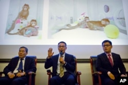 Sun Qiang, center, the director of the Nonhuman Primate Facility of the Institute of Neurosciences at the Chinese Academy of Sciences, speaks as Muming Poo, left, director of the Institute of Neurosciences, and Liu Zhen, right, a postdoctoral researcher at the Institute of Neurosciences, listen during a press conference at the Chinese Academy of Sciences in Beijing, Jan. 24, 2018.