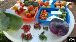 Agricultura não tem aproveitado o AGOA